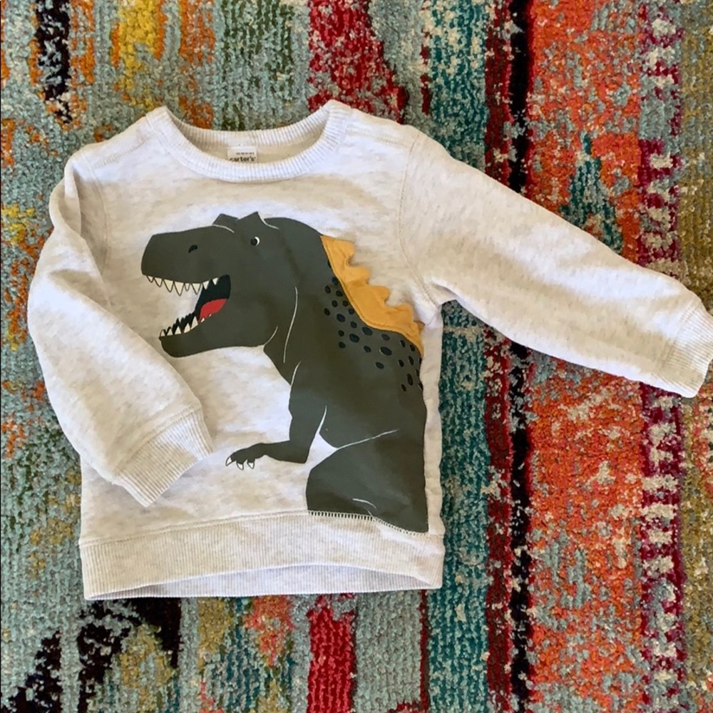 Dino sweatshirt